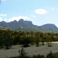 Catalina State Park in Oro Valley in Arizona