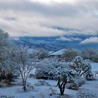 Oro Valley snowfall in 2011 in the Santa Catalina Mountains in Arizona