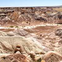 Overlook landscape at the Petrified Forest