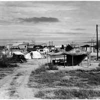Private auto camp for cotton pickers in Buckeye, 1940 in Arizona