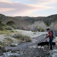 Man and Dog Crossing Stream on the Pacific Crest Trail