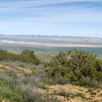 Scenic Hilly Landscape at Carrizo Plains National Monument