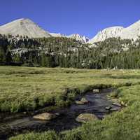 Crabtree Meadows in Sequoia National Park, California