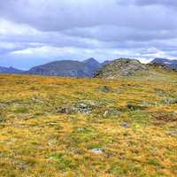 Overview of the Tundra Landscape at Rocky Mountains National Park, Colorado