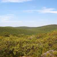 Mount Frissell, the high point of Connecticut landscape