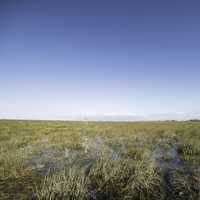 Landscape of the Marsh at Everglades National Park