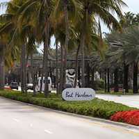 Collins Ave with trees in Bal Harbour, Florida