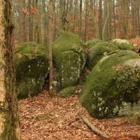 Rocks at Redtop Mountain State Park, Georgia