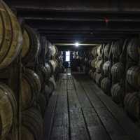 Barrels of whiskey in the cellar at Buffalo Trace Distillery, Kentucky