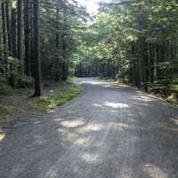 Carriage Road in Acadia National Park, Maine