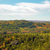 Forest Mountain colors in early autumn on Sugarloaf Mountain