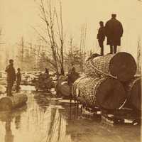 Lumbering Pines in the 1800s in Michigan
