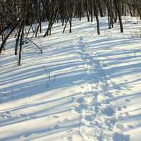 Footprints in the snow at Glacial Lakes State Park, Minnesota