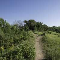 Hiking Path at the Top of King's Bluff at Great River State Park