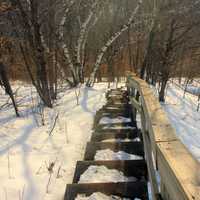 Icy Staircase at John A. Latsch State Park, Minnesota