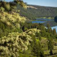 Scenic Lake view in Beaverhead-Deerlodge National Forest