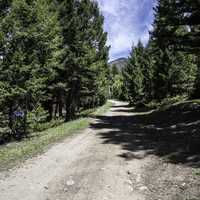 Start of the Mountain trail in Elkhorn, Montana