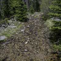 Streams of water rushing down the Mountain Side at Elkhorn Mountains
