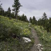 Mount Ascension Hiking Trail in Helena