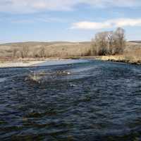Lower Gallatin River near Manhattan in Montana