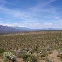 Desert and Grasses with mountains under skies