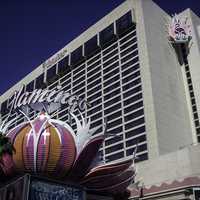 The flamingo hotel and casino in Las Vegas, Nevada
