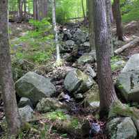 Mountain Path at Adirondack Mountains, New York