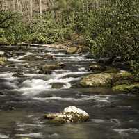 Cascading River Landscape in Great Smoky Mountains National Park, North Carolina