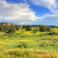 landscape in the valley at Theodore Roosevelt National Park, North Dakota
