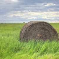 Hay Barrel on the fields at White Butte, North Dakota