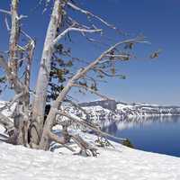 Winter Scenery at Crater Lake National Park, Oregon