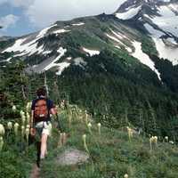 Hiking in Mount Hood National Forest