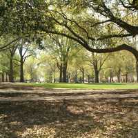 The horseshoe at the University of South Carolina in Columbia