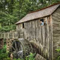 The Miller and His Wheel in Great Smoky National Park