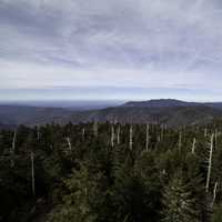 Trees and mountaintops landscape at Clingman's Dome, Tennessee