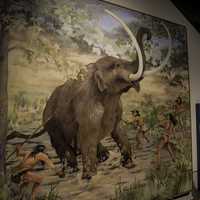 Mastodon hunt painting during the stone age in Tennessee Museum 