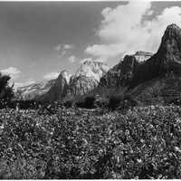 East side of Zion Canyon in 1929 in Utah