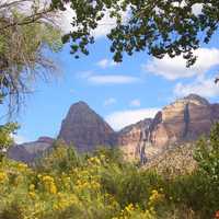 View of Zion Canyon in Zion National Park, Utah