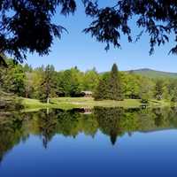 Peaceful Pond Landscape in Green Mountain National Forest