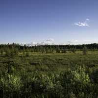 Horizon, sky, and landscape in Chequamegon National Forest, Wisconsin