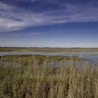 Wide Angle View of the Marsh and skies at Crex Meadows