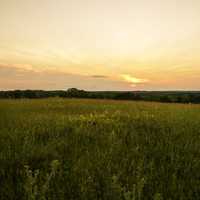 Dusk and sunset over the grassland in Cross Plains State Park