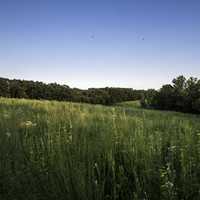 Grassland, forest, and skies at Cross Plains State Park