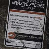 Invasive species sign at Governor Nelson's State Park