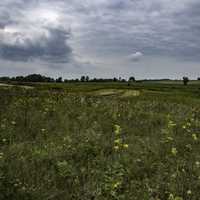 Farms and Marsh Grasses under cloudy Skies at Horicon marsh