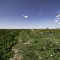 Hiking Trails and landscape at Horicon Marsh