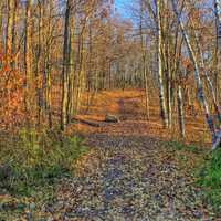 Colorful hiking trail at Kettle Moraine North, Wisconsin