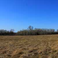 Grasslands landscape at Kettle Moraine South, Wisconsin