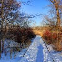 Snowy path at Lake Kegonsa State Park, Wisconsin