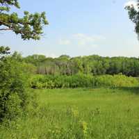 Forest, meadow, and clearing at Lapham Peak State Park, Wisconsin